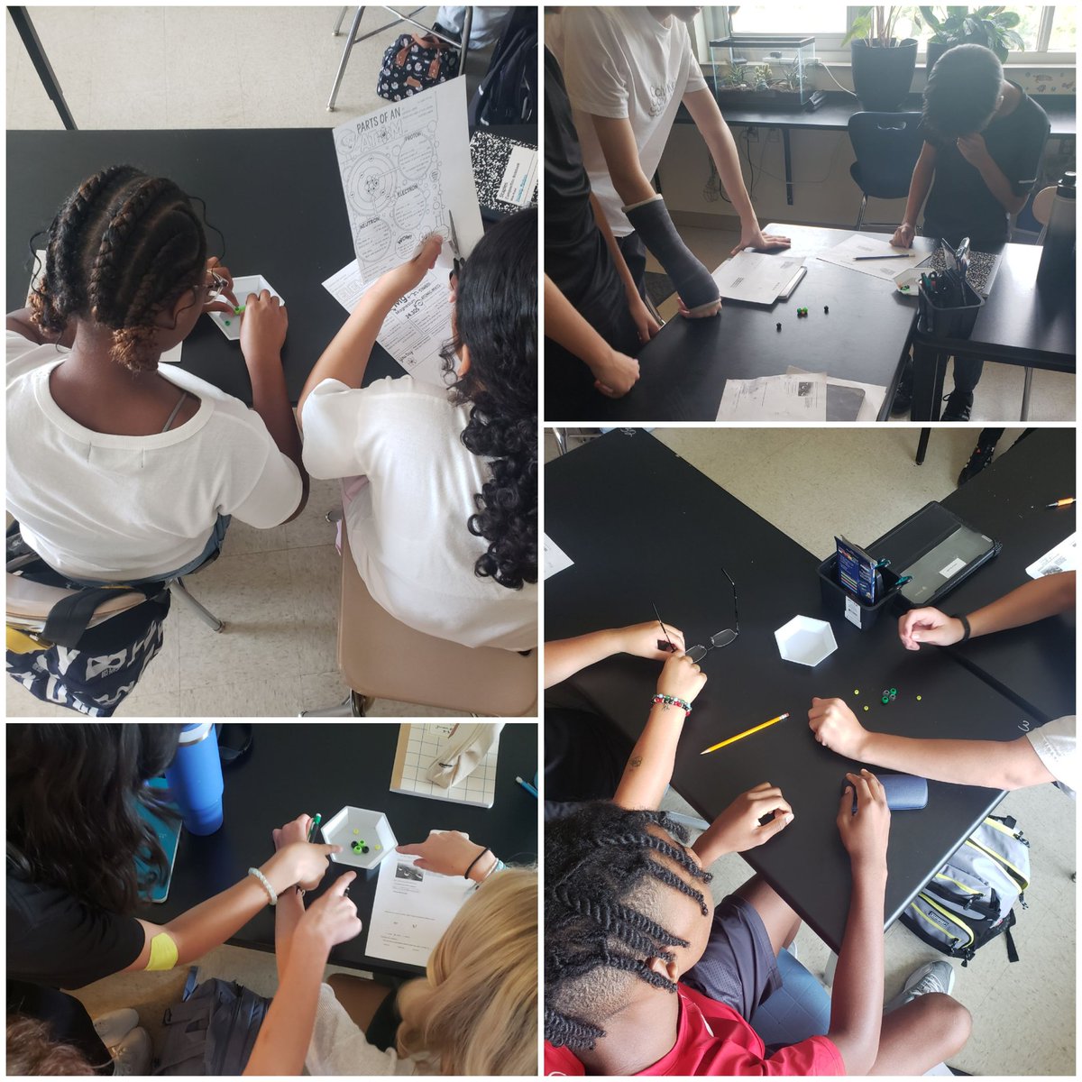 Thomas Gregory tweet media