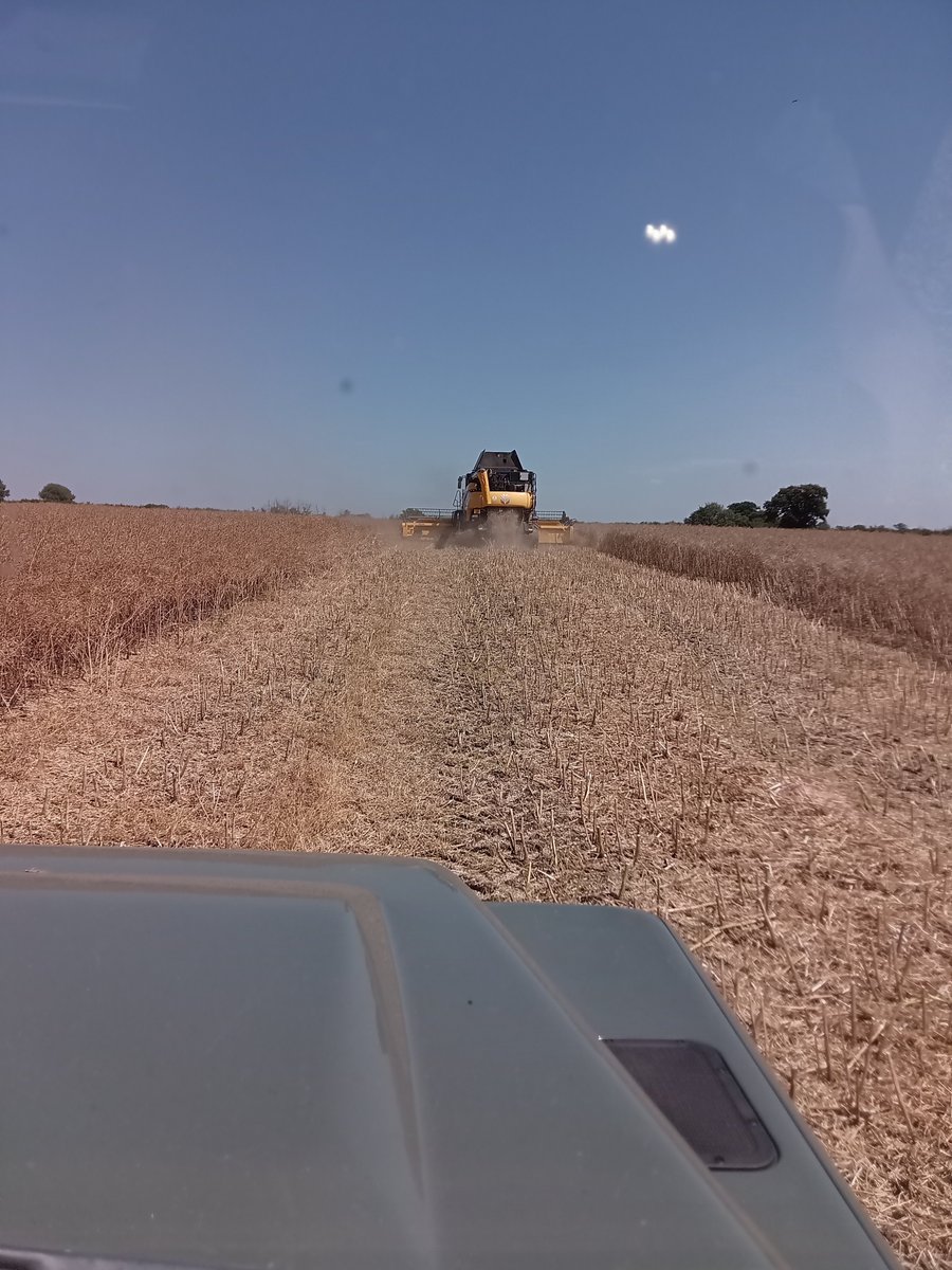 Steven Lear tweet media