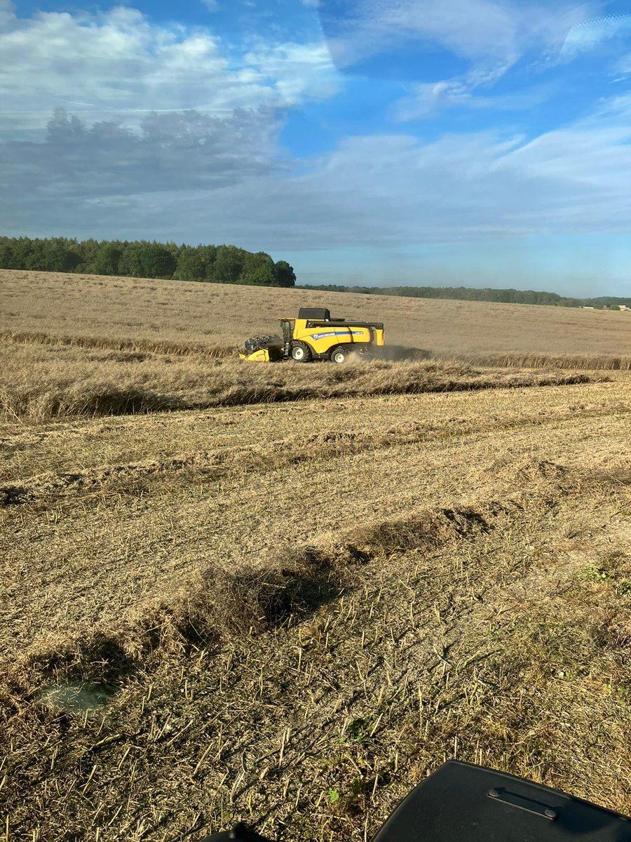 Steven Lear tweet media