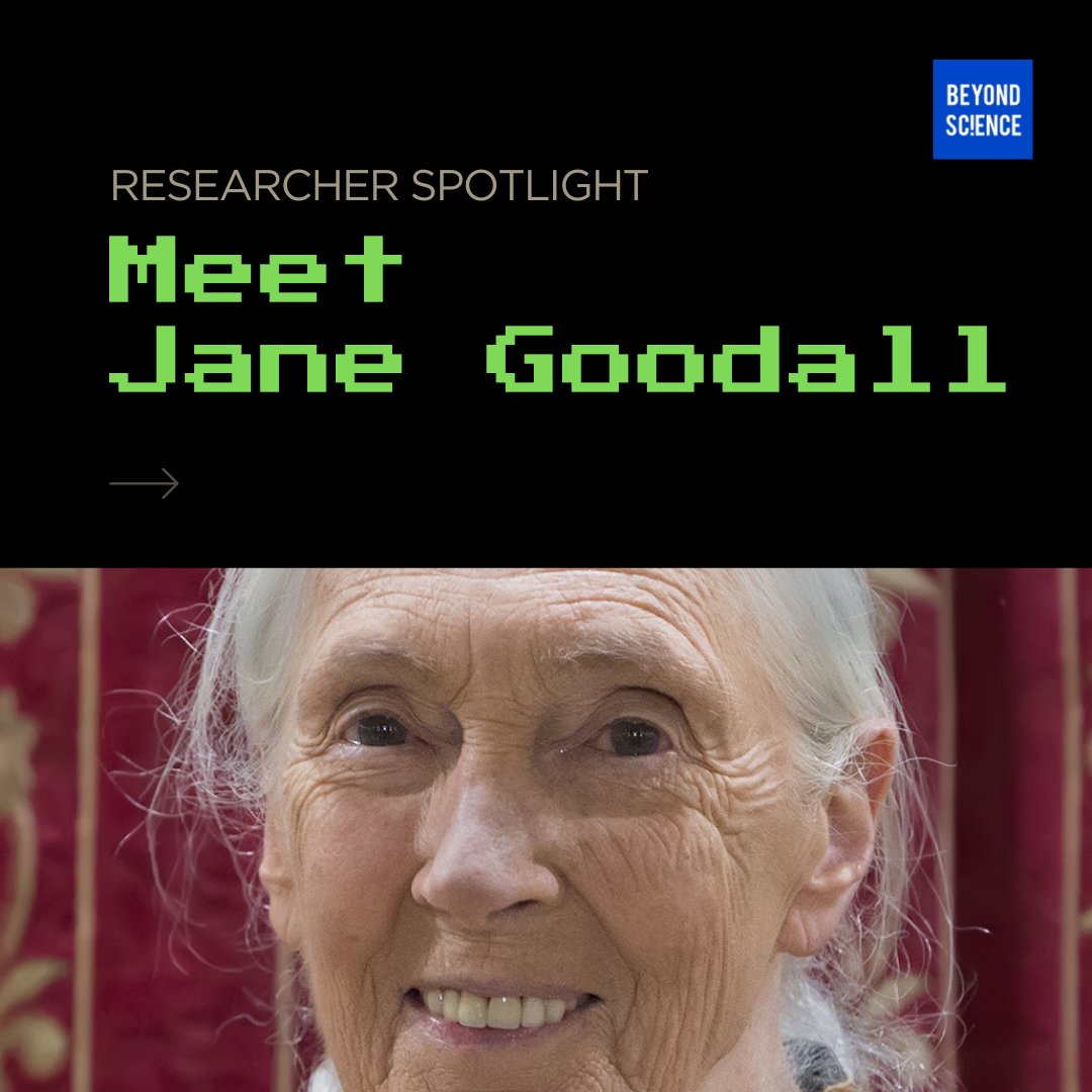 BEYOND SC!ENCE magazine tweet media