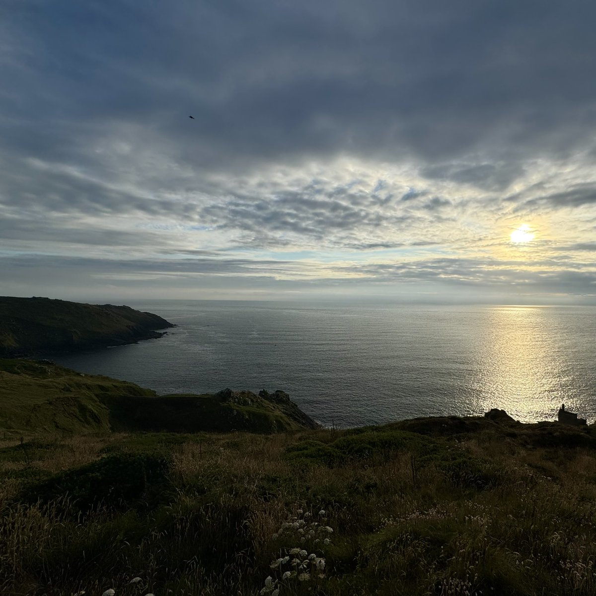 sarahmcquaid's tweet photo. Another lovely family #walk yesterday evening, from @NTSouthWest #Botallack along @swcoastpath to @nationaltrust #LevantMine &amp; back. So grateful to live in this beautiful part of the world &amp; to have my wonderful family around me – I know I’m lucky &amp; I don’t take it for granted. https://t.co/Tfl0FRyfBb