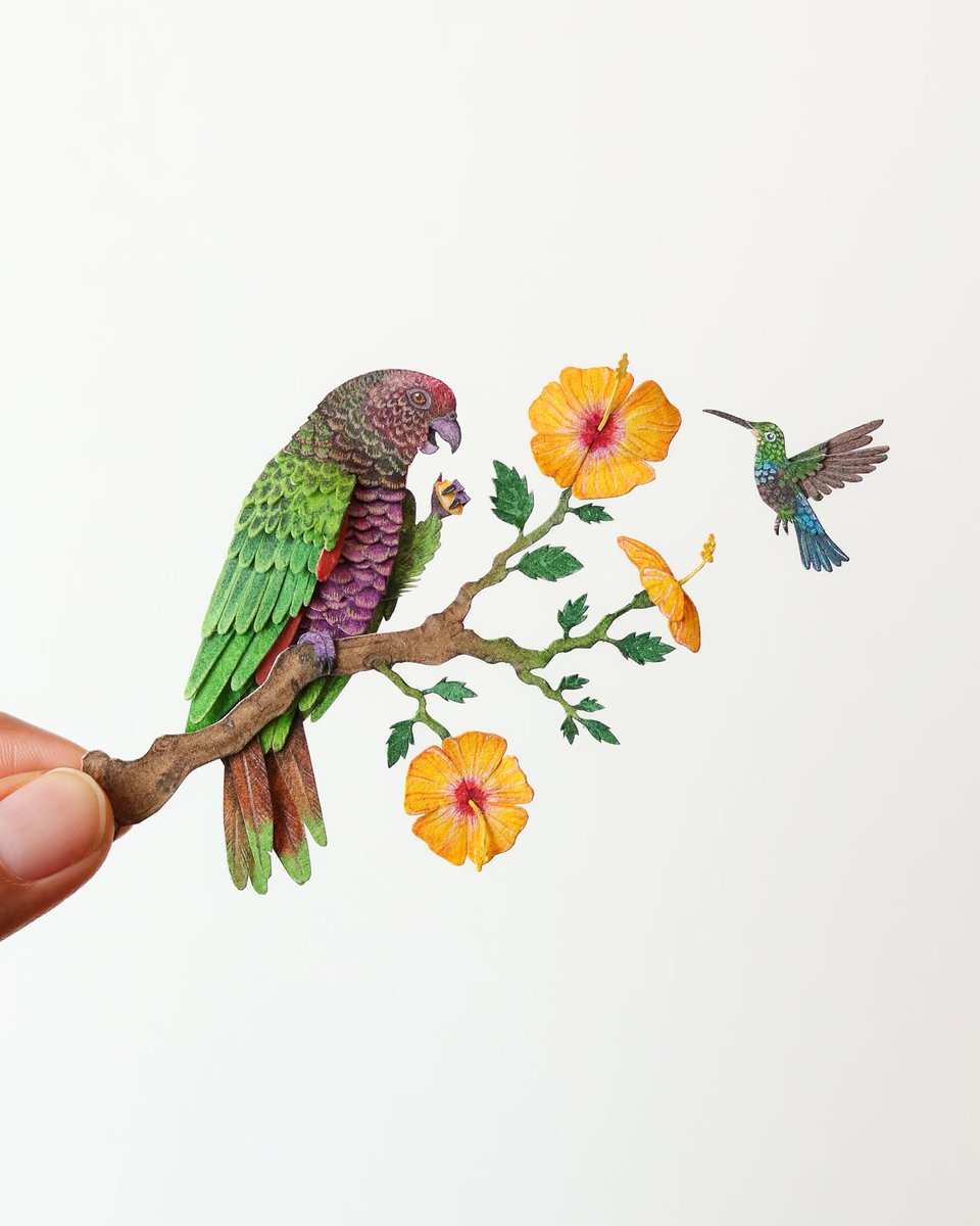 28/40 Imperial Amazon with Green-throated Carib 

#birdart #miniaturepainting #Papercraft