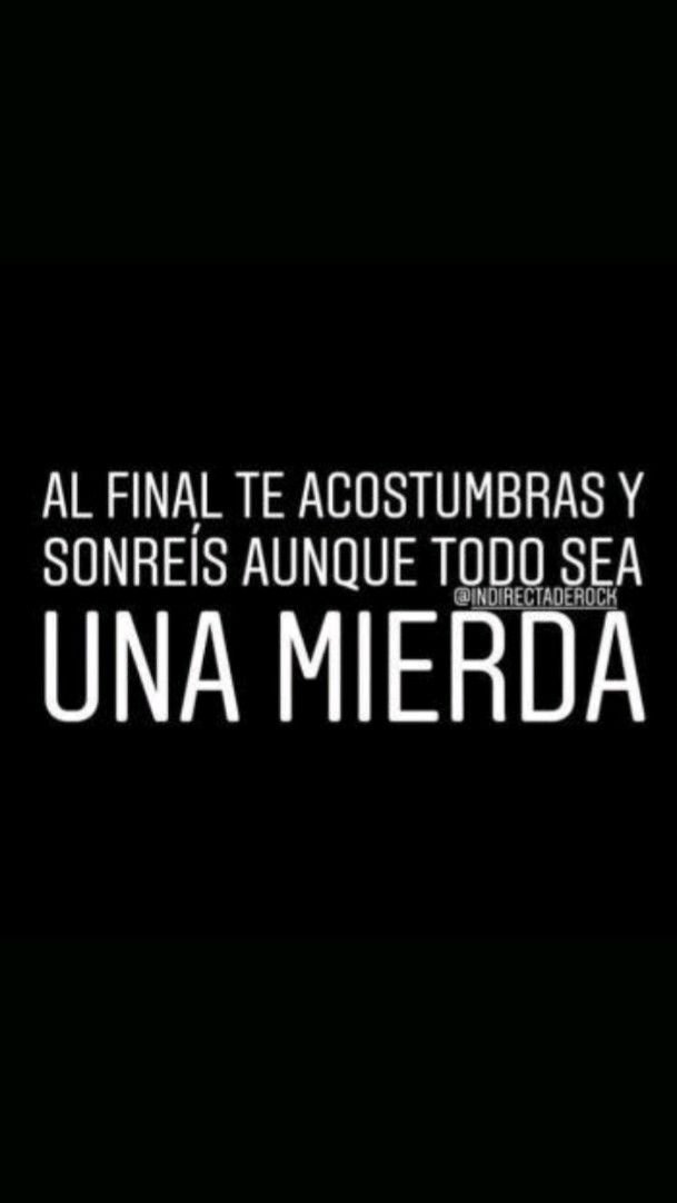 Manolo Dominguez (@manolodx24) on Twitter photo 