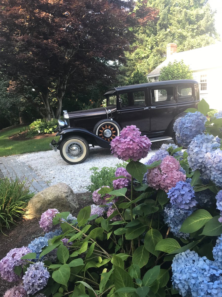 CapeCodBars's tweet image. Gorgeous walk on Commerce Road in #Barnstable #CapeCod