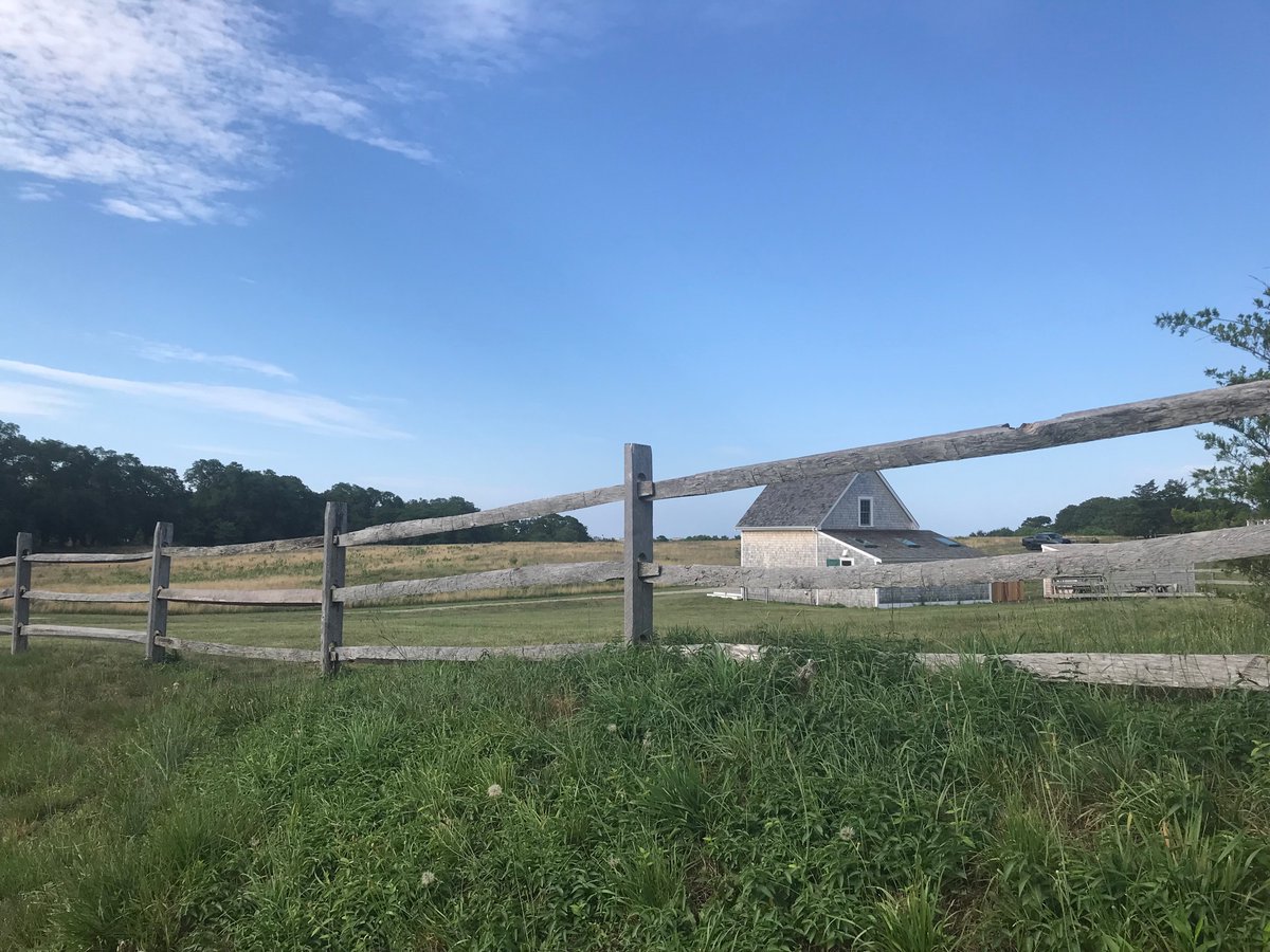 CapeCodBars's tweet image. Gorgeous walk on Commerce Road in #Barnstable #CapeCod