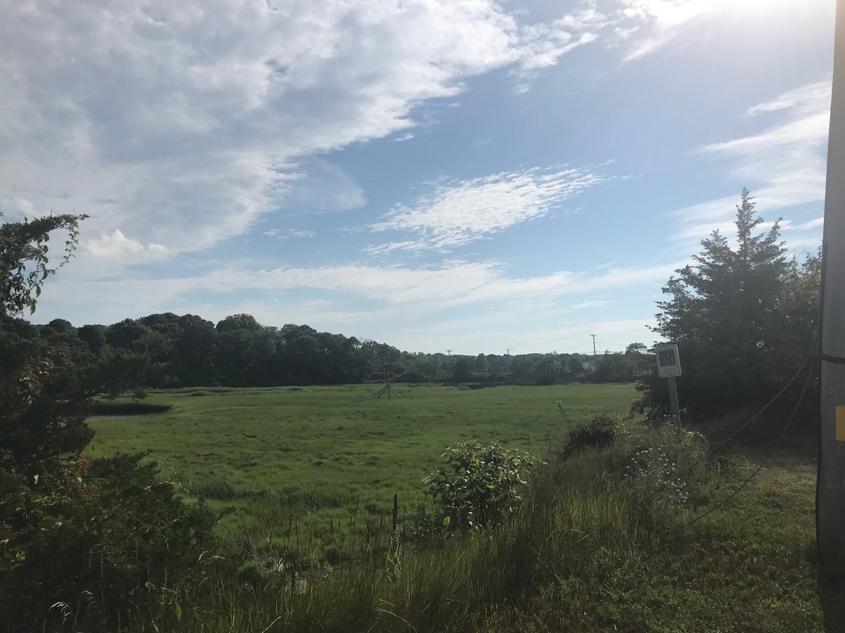 CapeCodBars's tweet image. Gorgeous walk on Commerce Road in #Barnstable #CapeCod