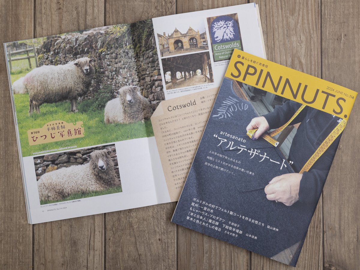 makibaphoto's tweet photo. SPINNUTS114号
ひつじ写真館、連載第14回で、イギリスのコッツウォルズ原産のひつじコッツウォルドシープ紹介しています♫
#ひつじ写真館 #SPINNUTS　#cotswold  #cotswoldsheep https://t.co/UrSUCkAPCV