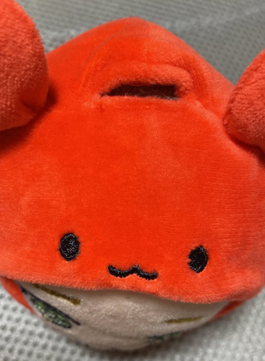 C1C0oBdLCX63qZO's tweet photo. #しろたん の着せ替えめちゃくちゃかわいい!
未だ顔部分しかない我が家の神ちゃんが…被せるだけであら不思議!WESTV!の蟹座さん🦀
頭頂部にキーチェーン通せる穴あるしちびストちゃん手に入れたい🥺
#WESTꓸ
#神山智洋
#ちびスト
#WESTV
#ついてきちゃうしろたん https://t.co/4m1VYc1JqL