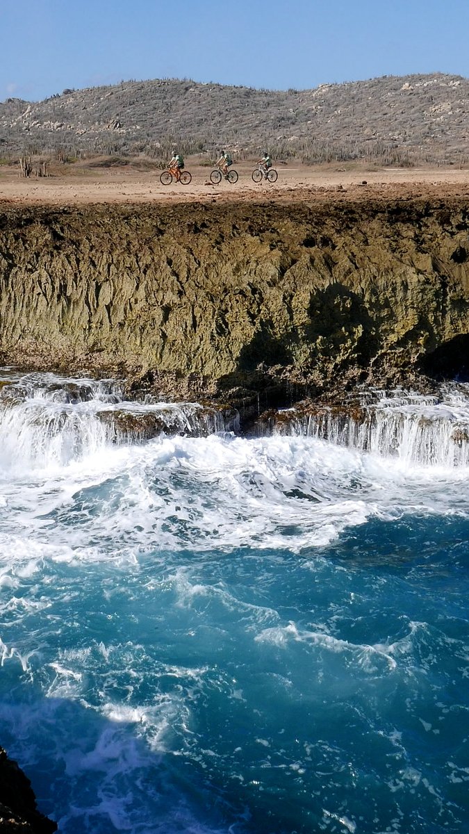 aruba's tweet photo. Did you know #Aruba has #mountainbiking trails? See hard to reach places with beautiful views &amp; unique landscapes just by hopping on your bike &amp; following one of our many tracks.

A low #carbonfootprint, great exercise &amp; exquisite sights await you! #RideYourMountainBikeDay https://t.co/3t57ngkz2X