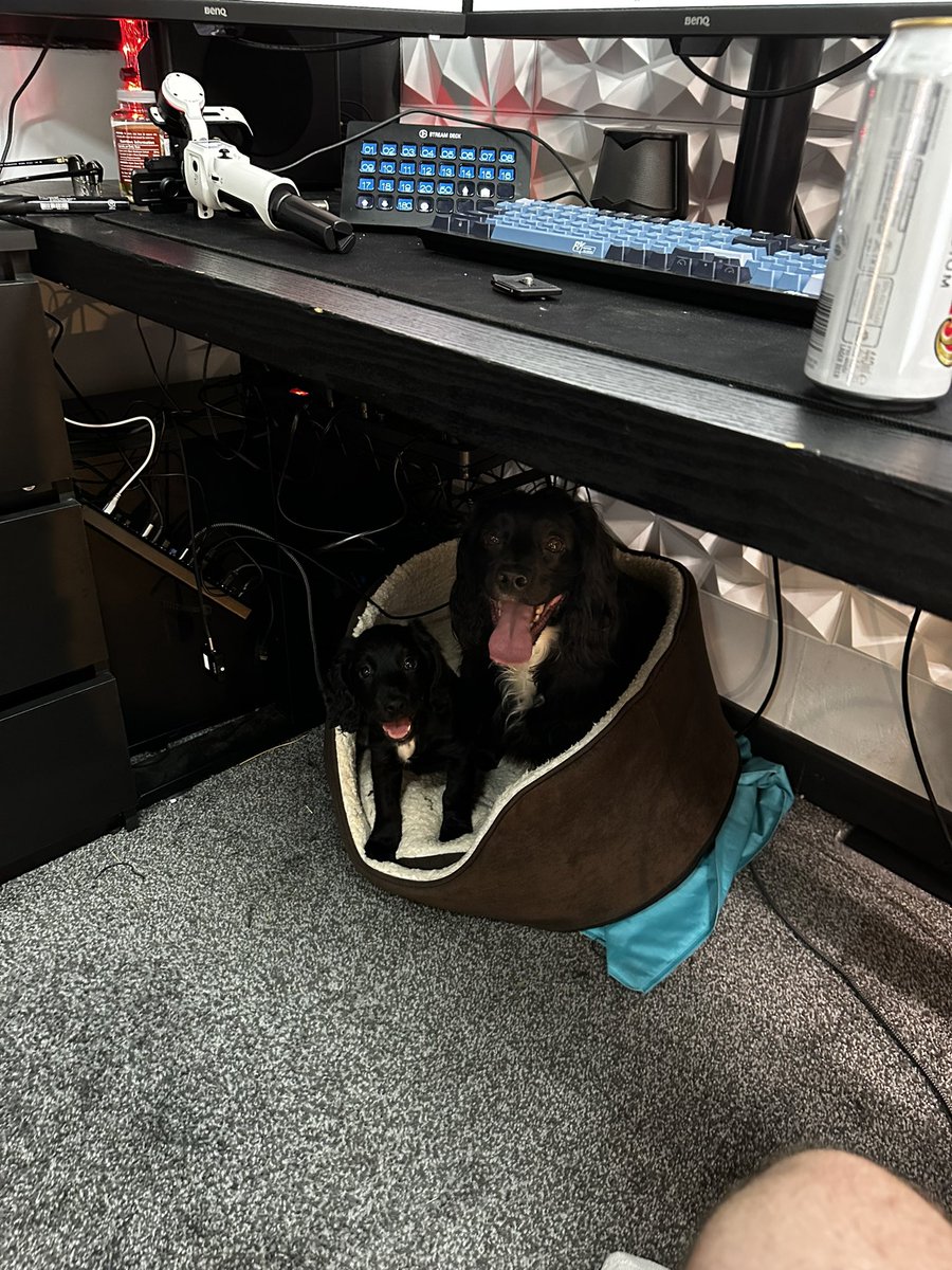 Jack Langston | The Darts Referee tweet media