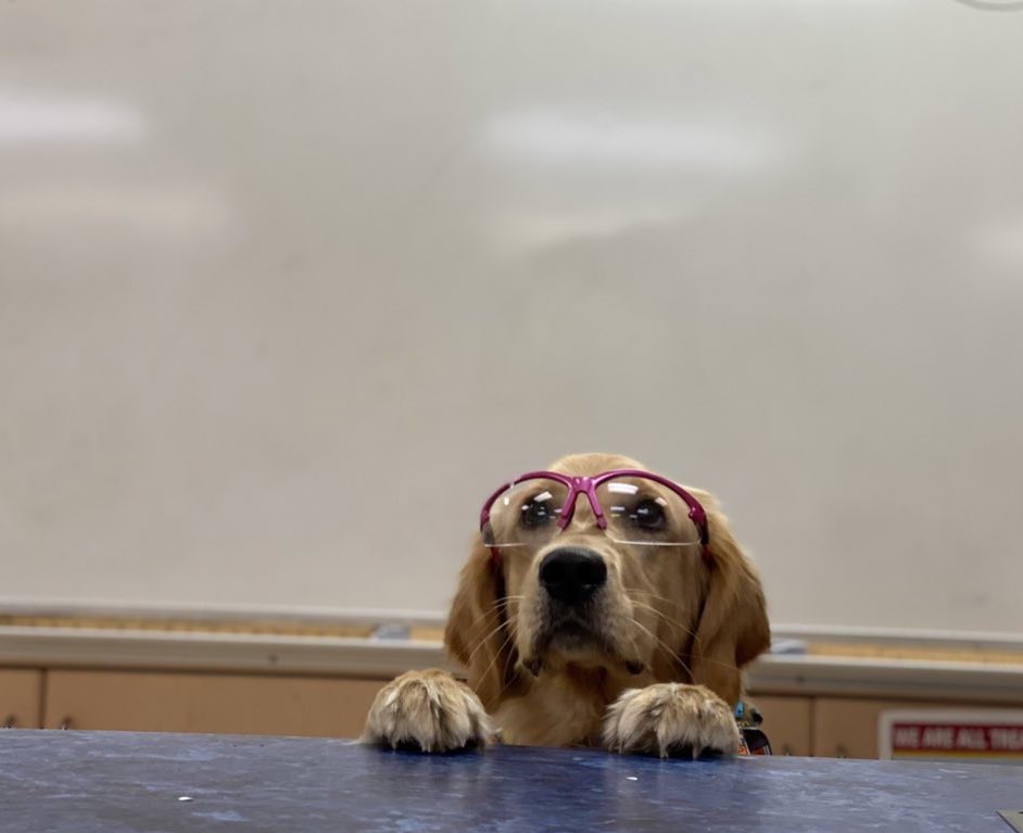 The IT specialist who bee bop booped the wrong boop last night.