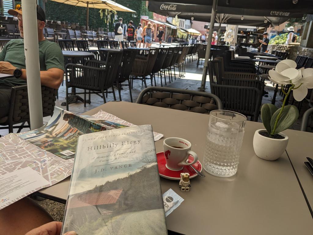 HILLBILLY ELEGY: A MEMOIR OF A FAMILY AND CULTURE IN CRISIS by J.D. Vance became summer reading when Trump decided its 39-year-old  author might be a heartbeat away from running the country. Depicts Americans in despair, armed, fatherless, addicted, not much aspiring 2 greatness.