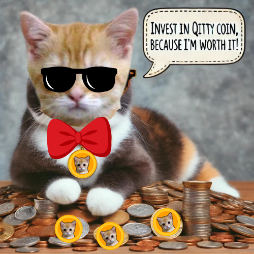 $Qitty is alpha 💸💸💸