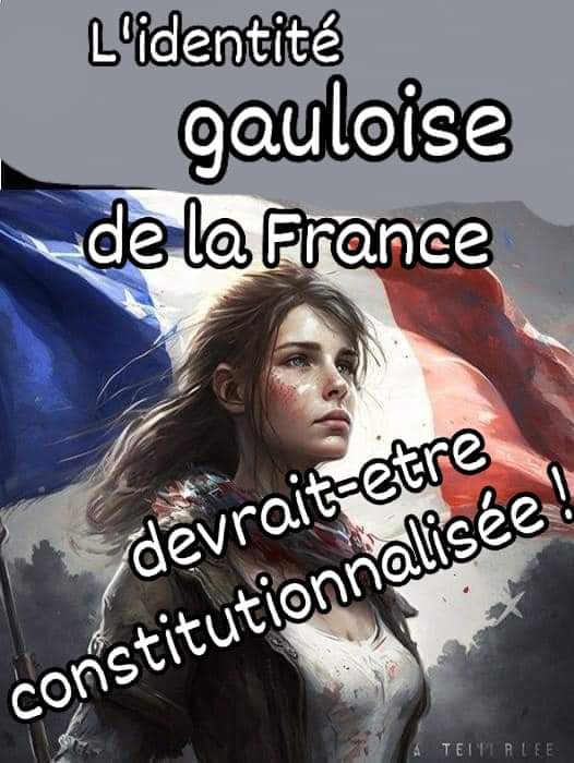 CacysKacis's tweet photo. @RNational_off @PatriotesEurope https://t.co/ZP5Ddz2p9F