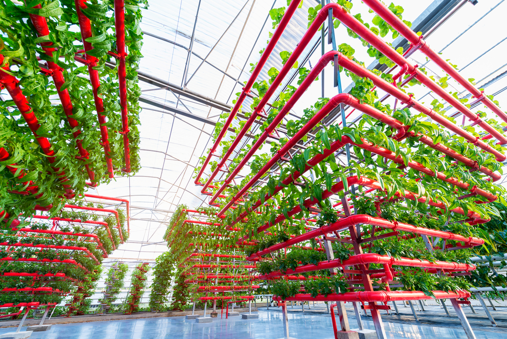 culinaryspecia1's tweet photo. Sustainability is key for today’s hotels, and #CulinarySpecialties is here to help! 🌿 We offer eco-friendly food options with LED lighting, recycling, local produce, safe alternatives to hazardous materials, and trained staff. Join us in making a positive impact! https://t.co/r1FYpLY3tE