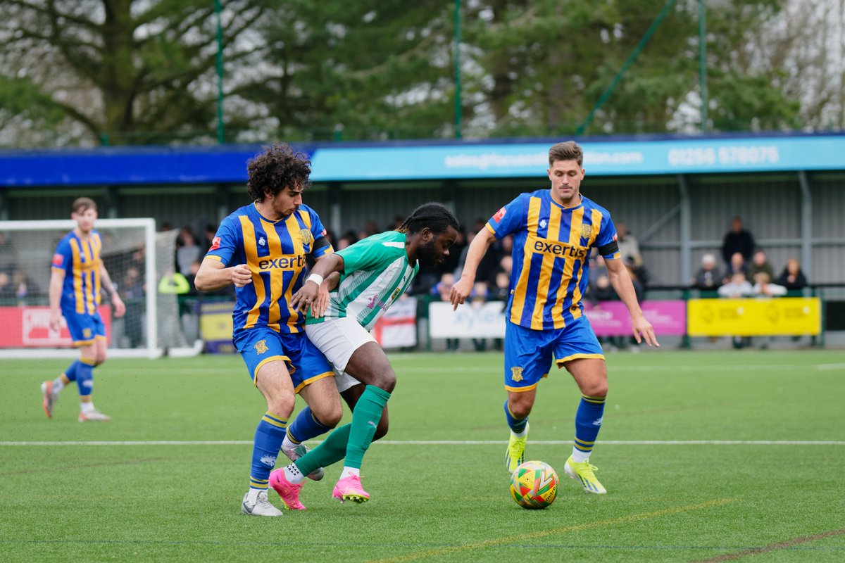 Basingstoke Town FC tweet media