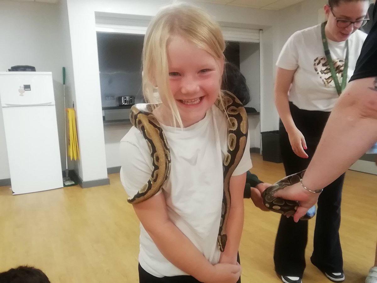 Year1WMG's tweet photo. 🐍we held owls, snakes,skunks,bearded dragons,a tortoise,millipedes and a grumpy tarantula! https://t.co/wxh7HI2460