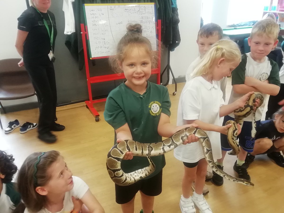 Year1WMG's tweet photo. 🐍we held owls, snakes,skunks,bearded dragons,a tortoise,millipedes and a grumpy tarantula! https://t.co/wxh7HI2460
