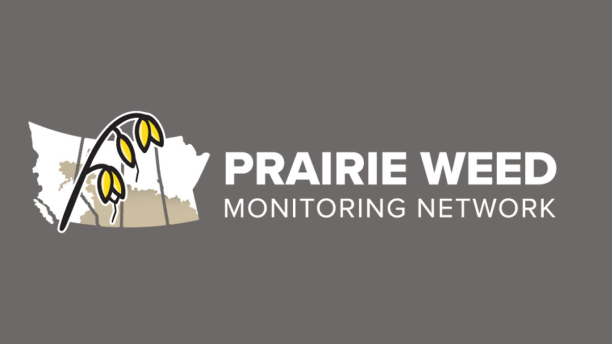 The Prairie Weed Monitoring Network offers a wealth of resources on weed abundance, herbicide resistance and integrated weed management to help you manage weeds successfully.

Learn more: ow.ly/nqYB50SoMOp

#cdnag #westcdnag #MbAg #MBFarms