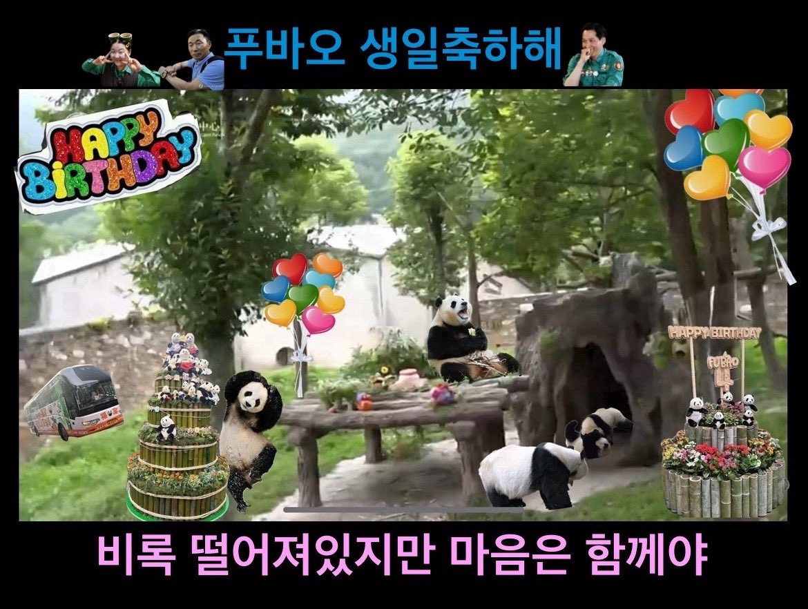 FuBao_2's tweet photo. 푸바오 생일축하해
#영원한_나의아기판다_생일축하해
#푸바오는_처음부터_해피엔딩이었어
#Happy4thBday_Fubao
#Happy_FUBAO_Day

프린세스 푸~~ 생일 축하해~~
4번째 생일이자 중국에서 첫생일~~
헤어져있어도 마음만은 모두 함께야! 
푸가 보고싶었던 얼굴들은 꼭 꿈에서 만나~ https://t.co/ahuu7avGTZ