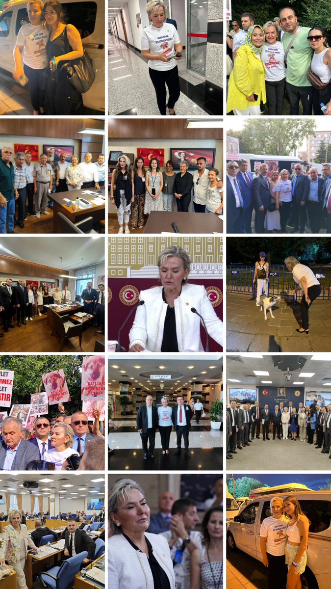 Hayvanları Koruma Kanununda Değişiklik Yapılmasına Dair Yasa tasarısı konuşulmaya başladığı günden bu yana hiç durmadık, yasa geri çekilene kadar durmayacağız. Mücadelemiz devam ediyor‼️🐕🐈

#yasayigericek
#KatliamYasasınaHayır