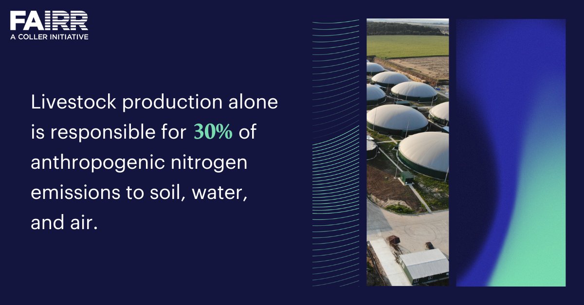 Managing excess nitrogen loss to the environment is critical to protect #biodiversity.

Despite this, FAIRR’s research has found that ten of the largest pork and poultry producers have made little progress when evaluating #pollution risks in their animal supply chains.