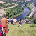 Photo by N2K Biogeographical Process (@BioGeoProcess)