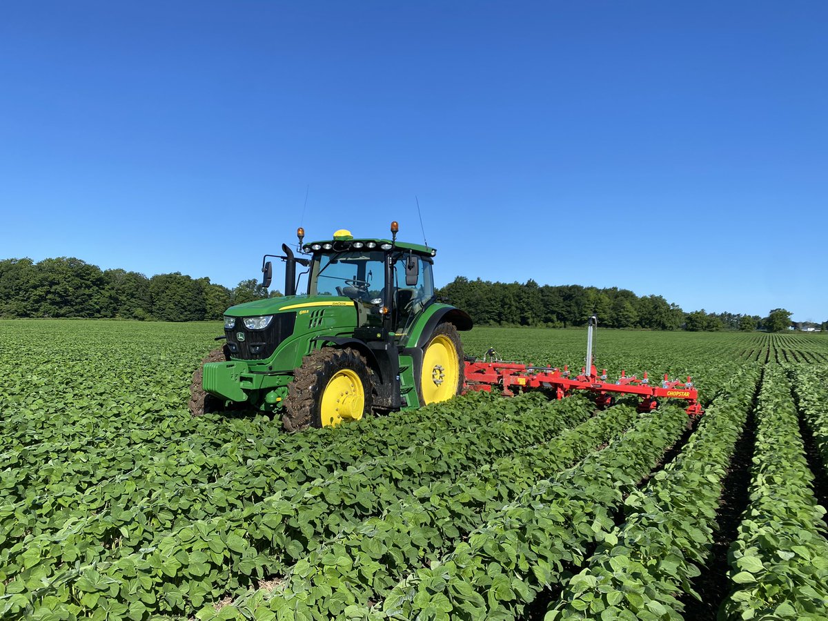 scheele_dave's tweet photo. Hoeing beans between the rains  #johndeere #einbock https://t.co/FtH58OJ9qS