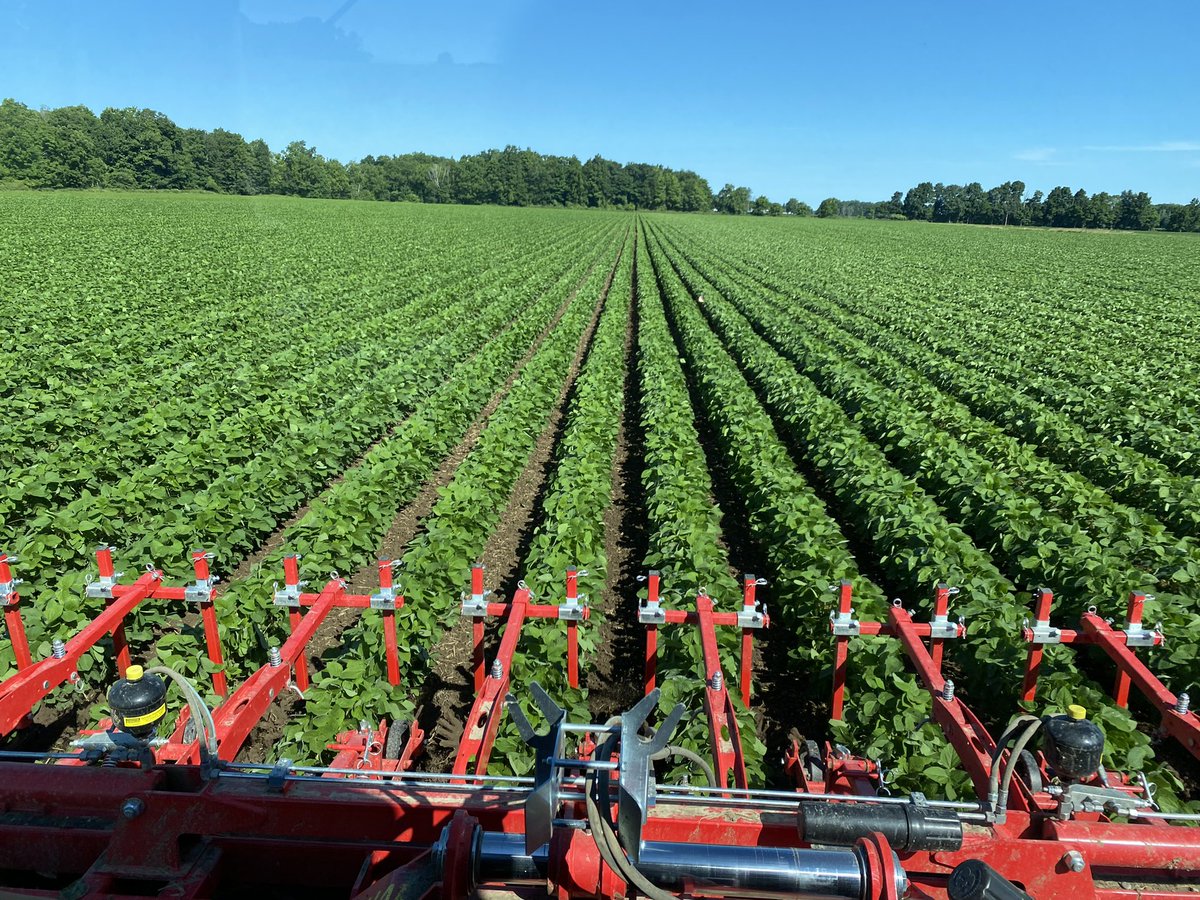 scheele_dave's tweet photo. Hoeing beans between the rains  #johndeere #einbock https://t.co/FtH58OJ9qS