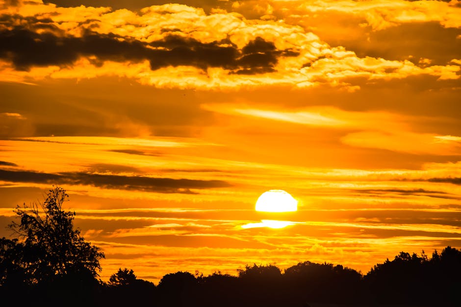 Guinness Partnership (@yourguinness) on Twitter photo Most of England will experience warm temperatures at the end of this week, with some places in the southeast likely reaching over 30°C 🌡️
Check out the <a href="/metoffice/">Met Office</a> 's top tips for keeping your cool in the heat 👇
ow.ly/5f8h50SFWmy Most of England will experience warm temperatures at the end of this week, with some places in the southeast likely reaching over 30°C 🌡️
Check out the <a href="/metoffice/">Met Office</a> 's top tips for keeping your cool in the heat 👇
ow.ly/5f8h50SFWmy