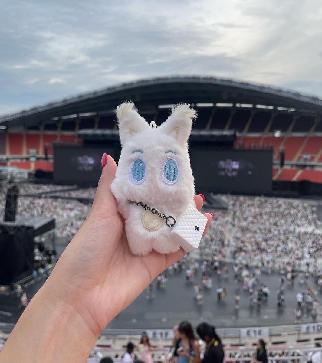 แม่มุมอม🦊💛 tweet media