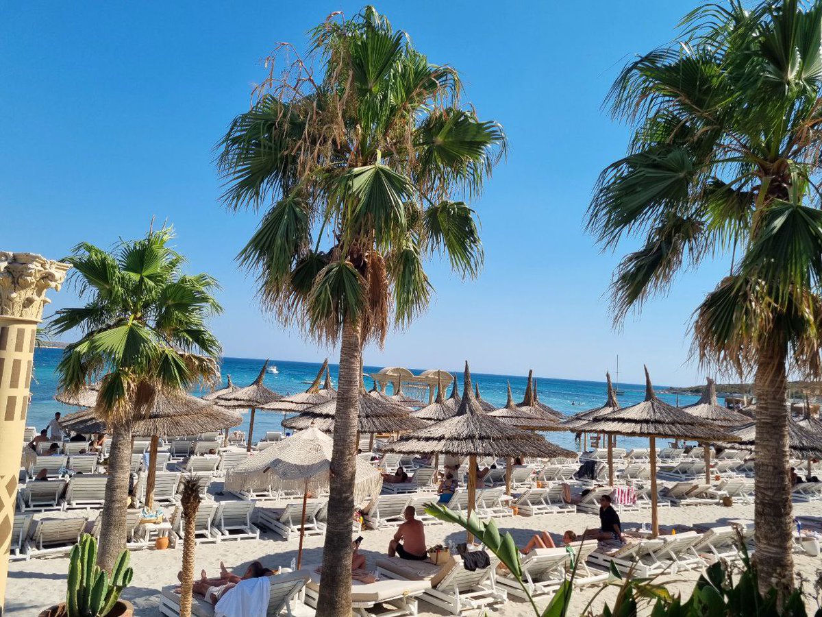 Binance TR tweet media