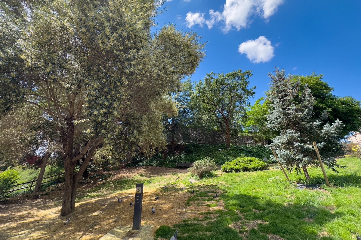 🌡️ Quan la calor apreta, refugia't de les altes temperatures!

☀️ Tens a la teva disposició una xarxa de refugis climàtics que inclou tant edificis municipals climatitzats com espais a l'aire lliure amb ombra.

👀 Consulta'ls en aquest mapa ➡️ ow.ly/C7xg50SBaeQ

#rubicity