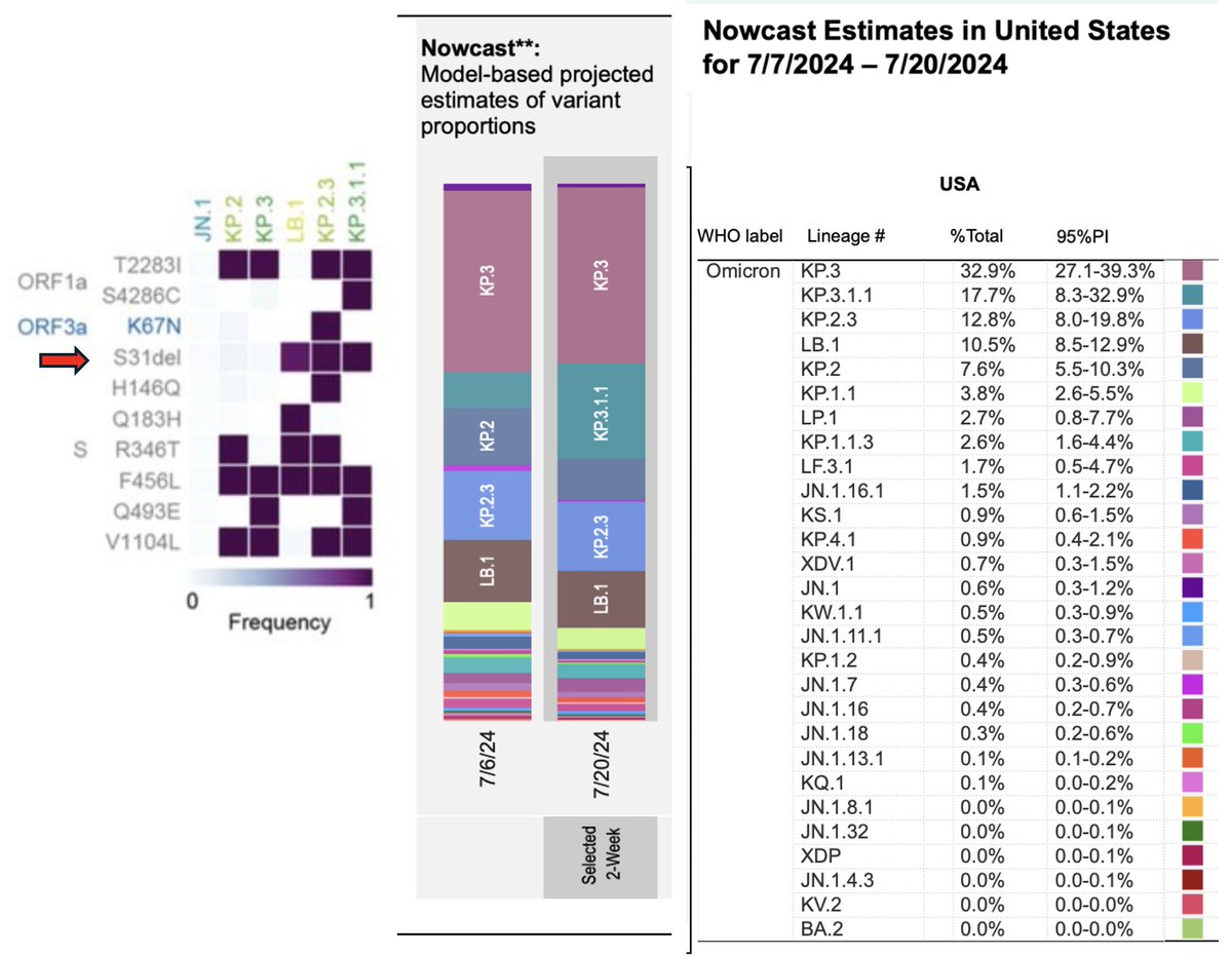 New US #SARSCoV2 genomics
Dominance of KP.3 and KP.3.1.1 variants (added S31 deletion, more infectivity and immune evasion) account for majority of new cases