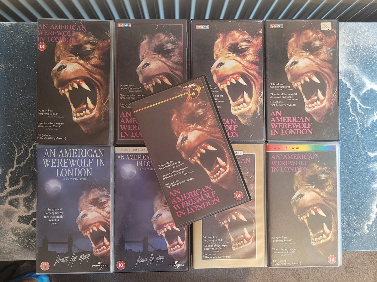 Morning Angle!
My American werewolf collection keeps growing more legs than Kesslers wolf!! 
#VHS 
#UptheAlamo