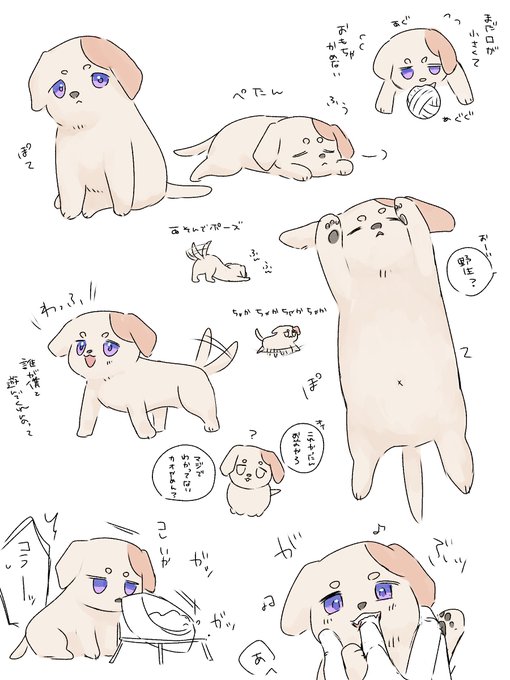 ⚠️🐶