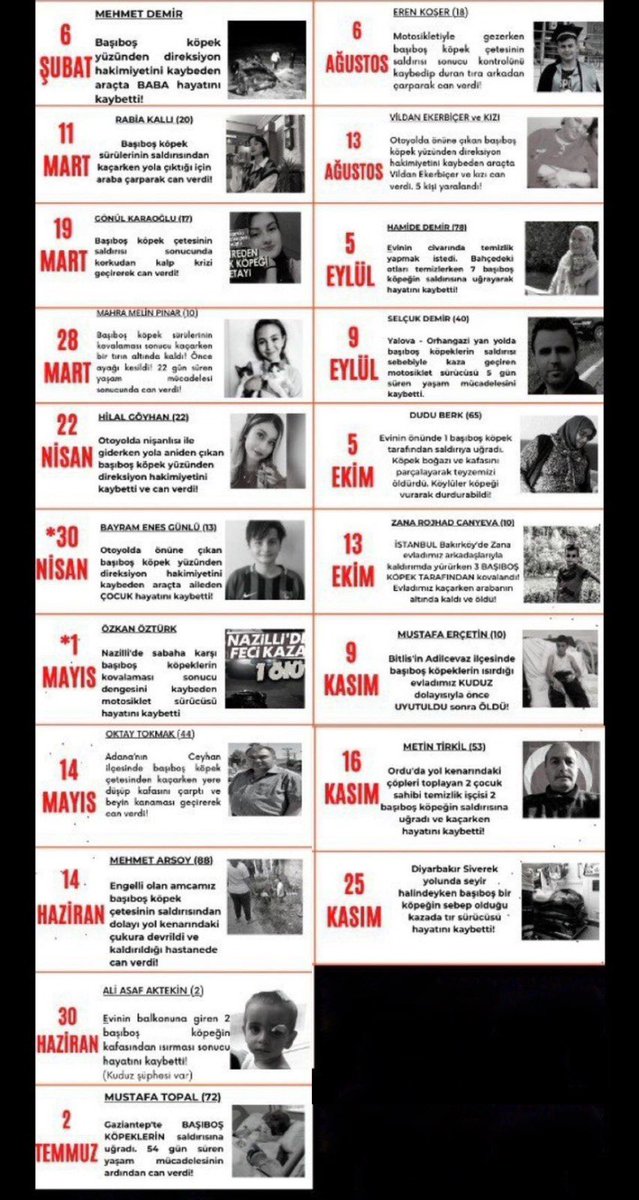 Aşağıdaki insanların ölüm sebeplerine bir bakın.

“Köpek saldırdığı için değil, araba çarpması sonucu öldü” diyenler daha iyi baksın. 

Saldırgan köpeklerin öldürücü pençelerinden kaçarken araba çarpmasıyla, direksiyon hakimiyetini yitirmesiyle, korkuya kapılarak kalp krizi