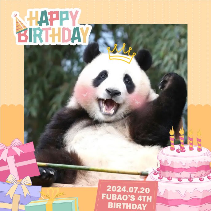 lejpl1's tweet photo. 푸바오 생일축하해
#영원한_나의아기판다_생일축하해
#푸바오는_처음부터_해피엔딩이었어
#Happy4thBday_Fubao
#Happy_FUBAO_Day
푸바오 4번째 생일을 너무 축하해🎉🥳 우리가 항상 함께할께! 항상 지켜줄께! 앞으로도 행복하자🩷 푸의 앞길이 항상 해피엔딩이기를!! https://t.co/pxnKoN7COe