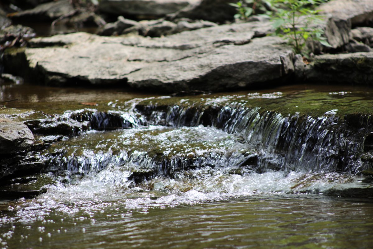Go for a weekend hike along the creekside, wooded trails at Keehner Park this summer! WestChesterOH.org/Keehner