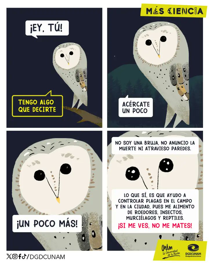 🦉Este aviso nos pareció muy oportuno  😉

Crédito: UNAM