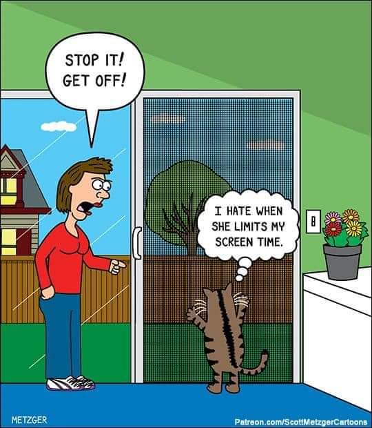 🤭 have a great weekend 🙃 
#PetScreen