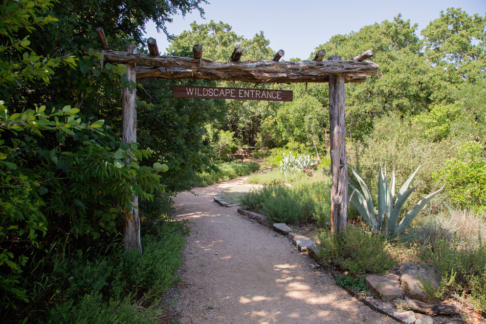 ArlingtonParks's tweet photo. Did you know Arlington has over 85 miles of park trail? That's about as far as Arlington is from the Red River to the north, or Waco to the south! Whether you want concrete, mulch or gravel, through trees or along water, you're never far from a great trail!
#APRD100 #NaturallyFun https://t.co/XdJM6Mc1Vc
