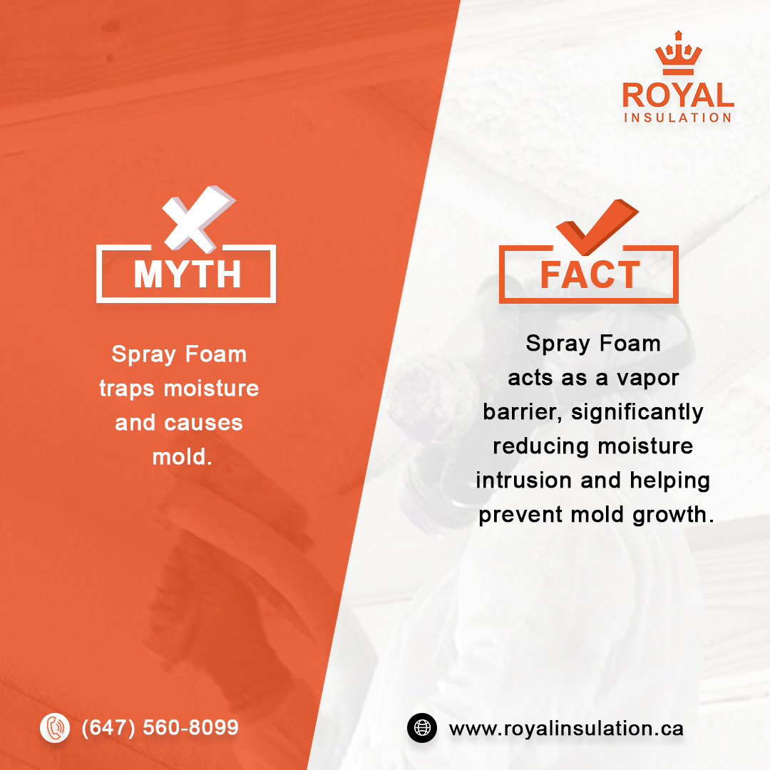 Royalnsulation's tweet photo. Our website https://t.co/zvwRG8WwAZ or call us at (647) 560-8099

@Royalnsulation

#royalinsulation #sprayfoaminsulation #sprayfoam #insulationcontractors #gtacontractor #fireproofing #torontohomes #gta #sprayfoamtoronto #contractor #InsulationServices #bhfyp https://t.co/AWI2QUpZqY