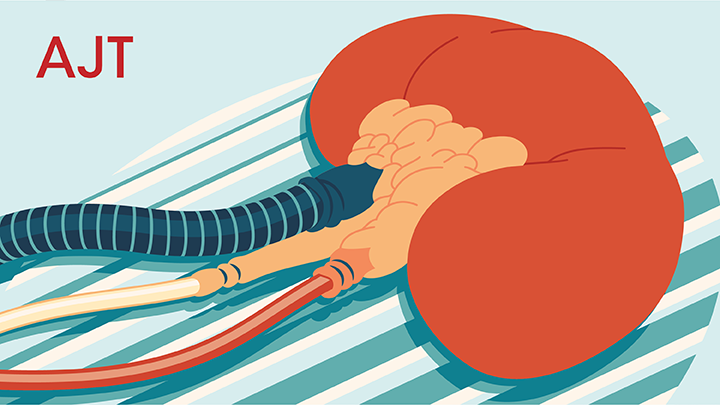 amjtransplant's tweet photo. "Utilizing pathophysiological concepts of ischemia-reperfusion injury to design renoprotective strategies and therapeutic interventions for normothermic ex vivo kidney perfusion" by Ogurlu et al.

https://t.co/1Ps9sQSMKy https://t.co/oQkv3HRSEG
