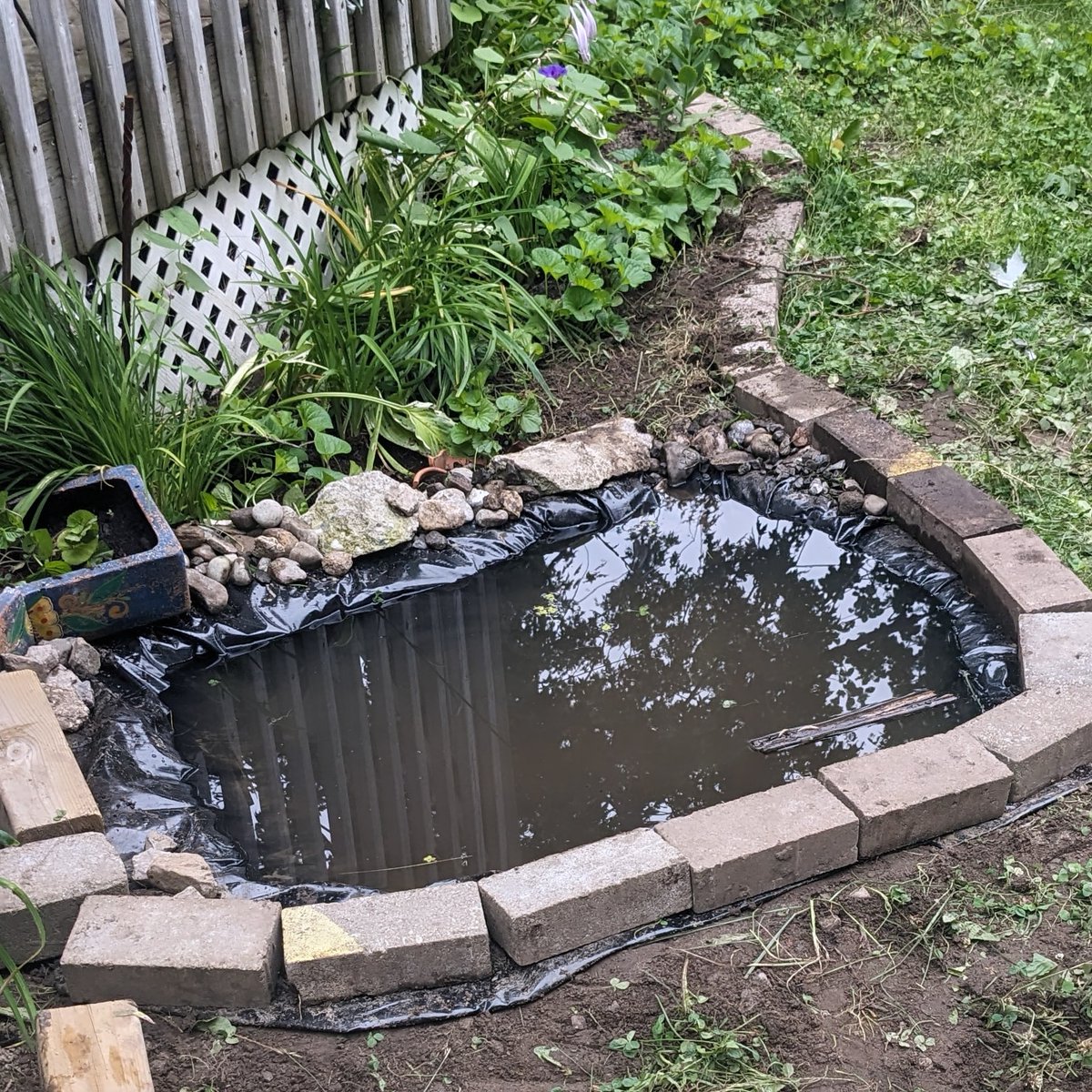 goblinpassword's tweet photo. I dug a pond https://t.co/bCuWbhhJw0