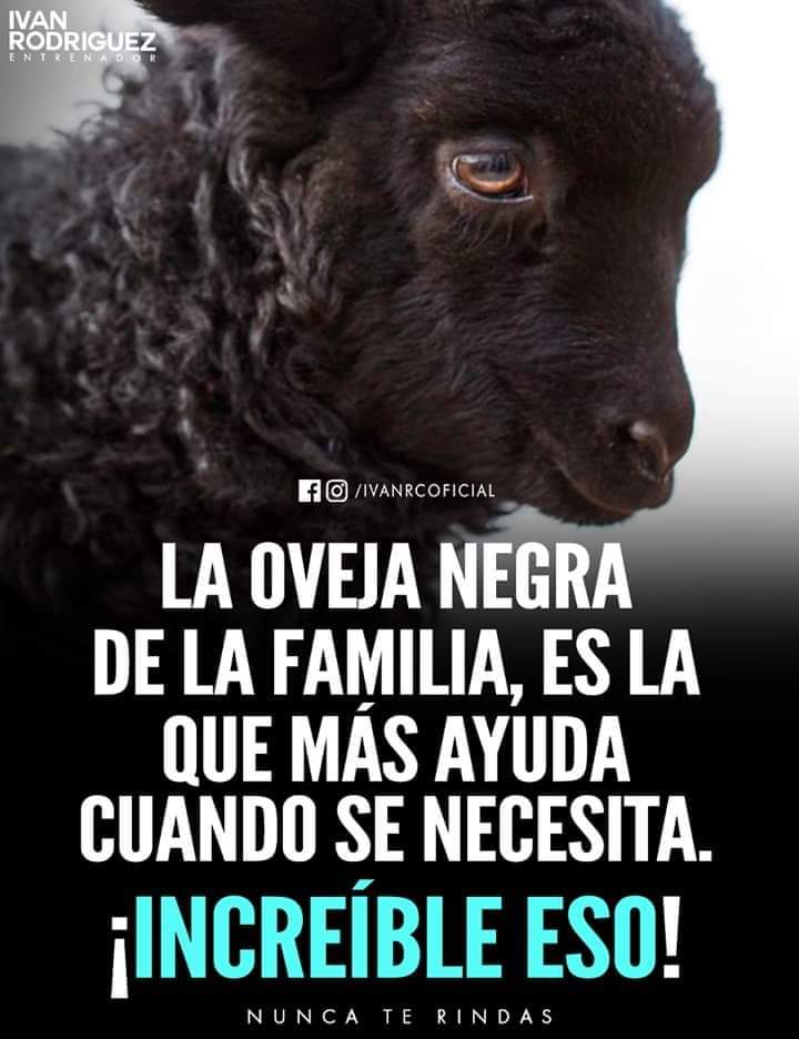 JorgeLuisRR1963's tweet photo. INTERESANTE!! https://t.co/iDO9lWufcO