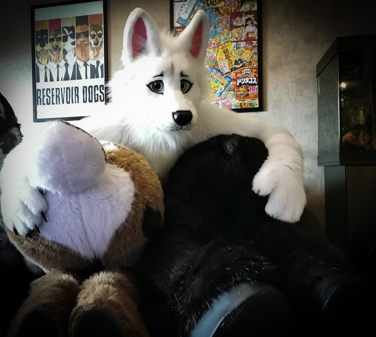 #FursuitFriday 

🐺 <a href="/belisinum/">belisinum</a> 
🐴 <a href="/HozzieH/">Hozzie Hozzhozzhozz</a> 
🐰 Me