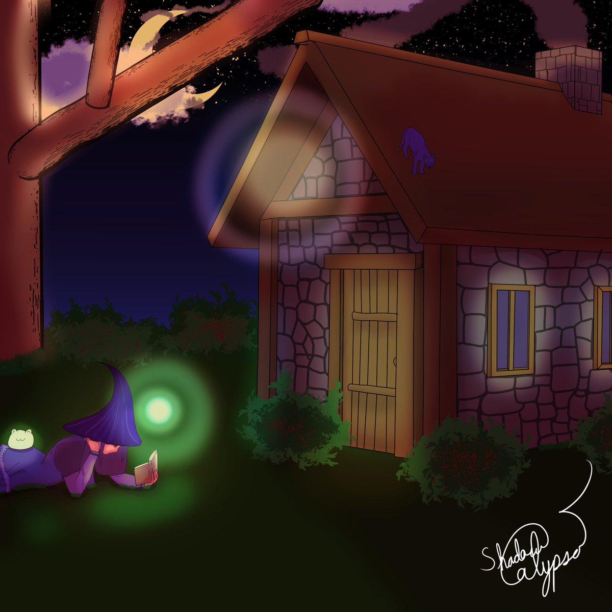ShadowCalypso's tweet photo. @soulartshares So these were done for artfight and then ill post in a reply to this art i did for myself (In order the creators of the ocs are Beebisbug, @JennyMaridowe , TheFrogLover, and @Aerouants_Den ) https://t.co/CzEcCPmc4G