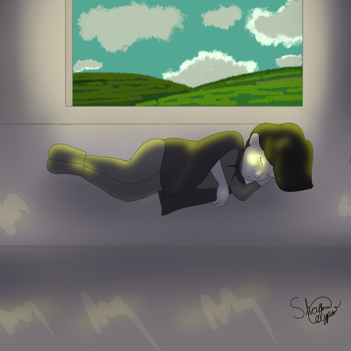 ShadowCalypso's tweet photo. @soulartshares So these were done for artfight and then ill post in a reply to this art i did for myself (In order the creators of the ocs are Beebisbug, @JennyMaridowe , TheFrogLover, and @Aerouants_Den ) https://t.co/CzEcCPmc4G