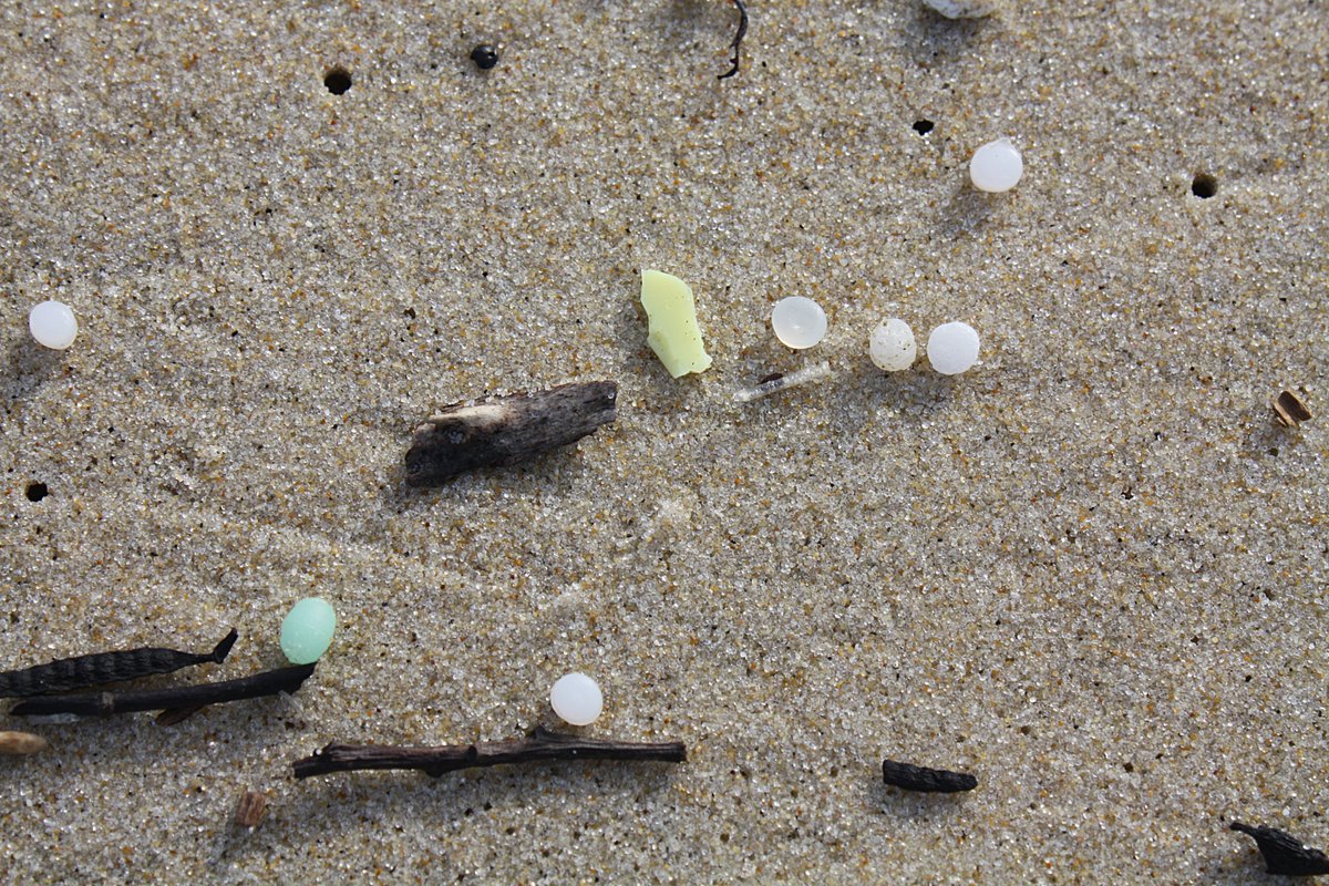 Plastic pollutes our #oceans, lakes, and rivers and is contributing to the growing climate crisis. We thank <a href="/AndyKimNJ/">Andy Kim</a>, <a href="/RepJoshG/">Rep Josh Gottheimer</a>, <a href="/RepBonnie/">Rep. Bonnie Watson Coleman</a>, <a href="/FrankPallone/">Rep. Frank Pallone</a> for cosponsoring the Plastic Pellet Free Waters Act to protect our oceans, waterways, and communities. #PlasticFreeSeas